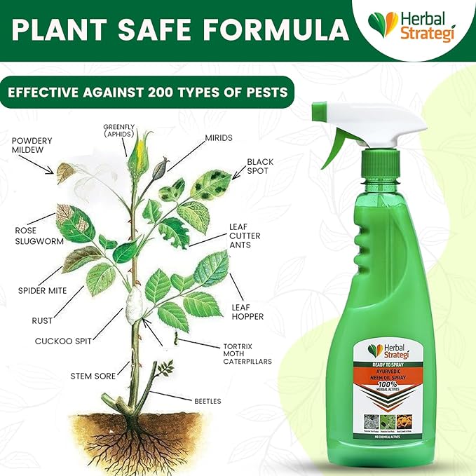 Herbal Strategi Ayurvedic Neem Oil Ready to use Spray for plants - 500 ml | Protection from Fungus & Pests | Boost Growth in Plants