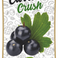 Frujoy Black Currant Crush 750ml | For Fruit Mocktail | Cocktail | Cake | Baking Essentials | Juices | Beverages Crush Frujoy