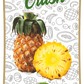 Frujoy Pineapple Crush 750ml | Anaanaas | For Fruit Mocktail | Cocktail | Cake | Baking Essentials | Juices | Beverages Crush Frujoy